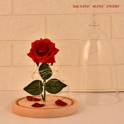 Glass Cover Rose LED Light